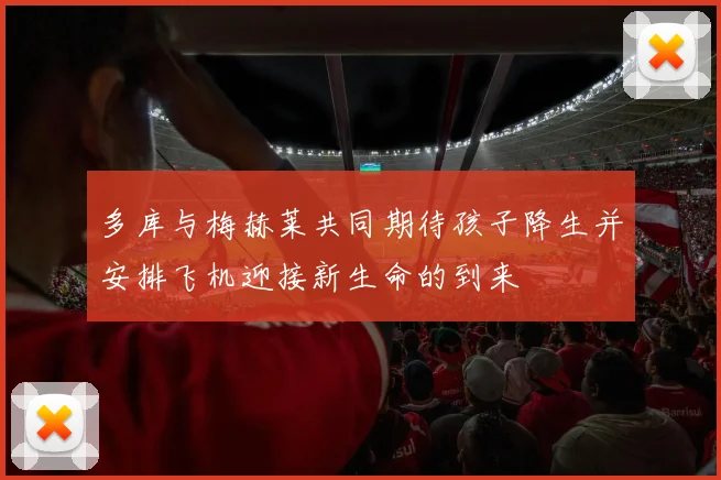 多库与梅赫莱共同期待孩子降生并安排飞机迎接新生命的到来