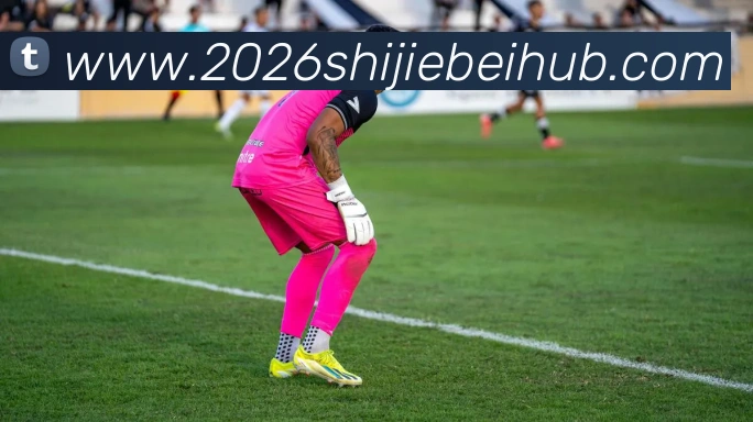 2026世界杯服务体系